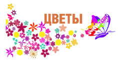 Радугацветов